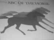 Elektroterapi på häst