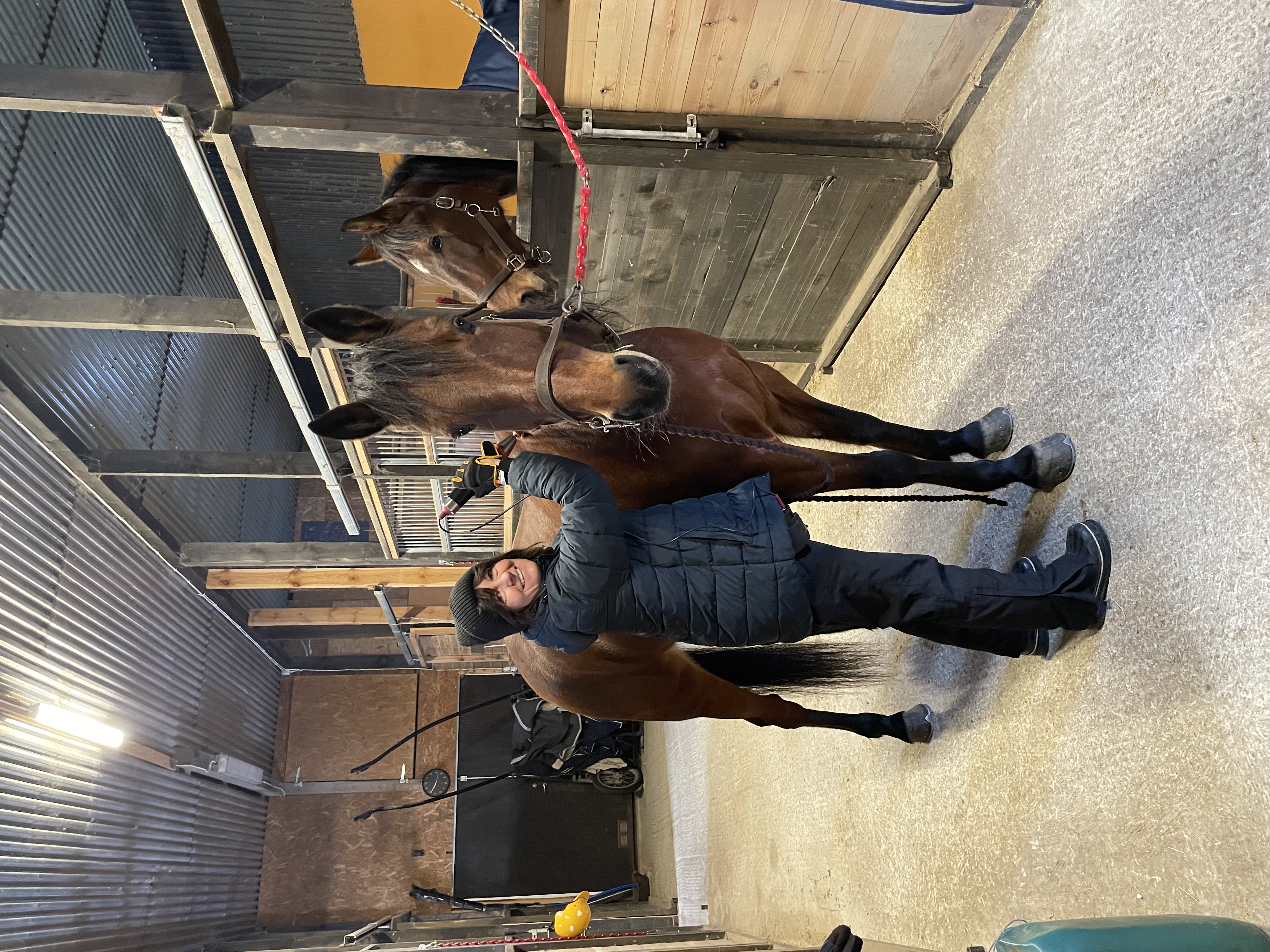 Djupvågsbehandling av travare 